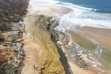 Descobertos fósseis a norte da praia da Galé em Grândola