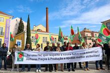 Meia centena de agricultores concentram-se em frente à Assembleia da República