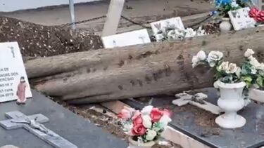 Queda de árvores destrói cemitério de Alverca do Ribatejo. Funcionários e populares preocupados