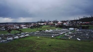 Pelo menos dez vítimas mortais devido à depressão Kristin 