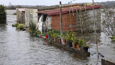 Povoação de Ereira em Montemor-o-Velho arrisca ficar hoje isolada pela água