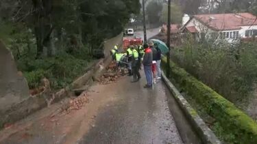 Trabalhadores da Câmara Municipal de Sintra limpam destroços de muro que caíram na via  