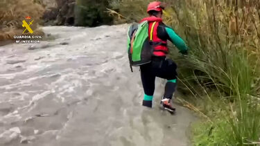 Equipas de resgate procuram mulher desaparecida que terá sido arrastada por rio enquanto salvava cão em Espanha 