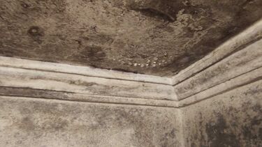 Prédio em risco de colapso preocupa moradores em Espinho