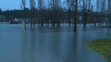 Parque Verde do Mondego inundado após saturação dos terrenos