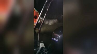 Três cavalos resgatados da zona ribeirinha de Samora Correia devido à saída do caudal do rio