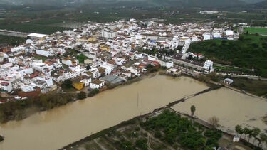 Imagens aéreas mostram extensão das cheias na Andaluzia após tempestade 
