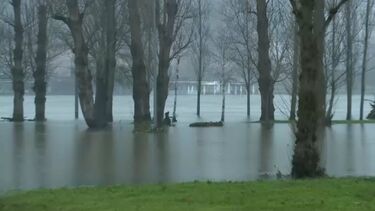 Zonas das margens do rio Mondego continuam alagadas