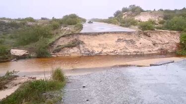Estrada florestal que liga Tocha a Mira abateu devido ao mau tempo