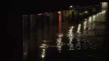 Subida de nível da água do rio Mondego deixa Proteção Civil em alerta  