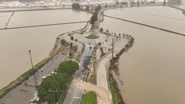 Imagens de drone mostram campos de arroz em Alcácer do Sal completamente inundados