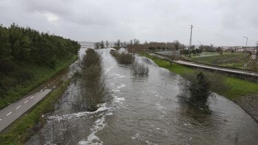 Água parece dar tréguas, mas localidade de Lavariz em Montemor-o-Velho continua inundada