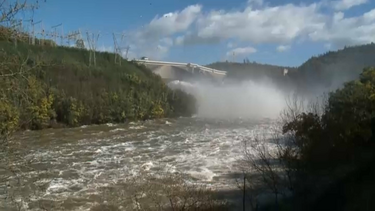 Barragem da Aguieira ganha capacidade de armazenamento para gerir caudal do Mondego