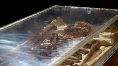 Restos mortais de São Francisco expostos pela primeira vez em Assis