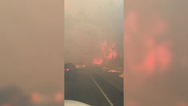 Vídeo mostra incêndio florestal a crescer rapidamente numa autoestrada em Nova Orleães  