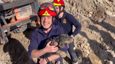 Cadela que perseguia coelho acaba presa em toca. Bombeiros de Madrid demoraram seis hora a resgatar o animal