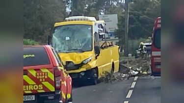 Eucalipto cai em cima de carro e autocarro em Sintra. Cinco pessoas feridas