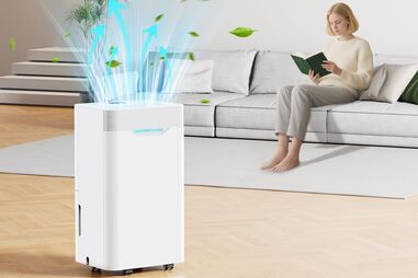 Desumidificadores combatem humidade do inverno em casa, soluções de alta qualidade em promoção