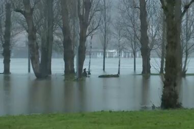 Zonas das margens do rio Mondego continuam alagadas