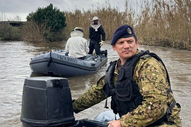 Marinha resgata abelhas em Coimbra