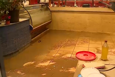 Docas de Coimbra continuam completamente alagadas. Comerciantes não baixam os braços perante os estragos