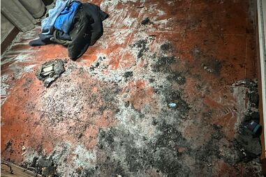 Incêndio habitacional deixa quatro pessoas desalojadas em Paredes