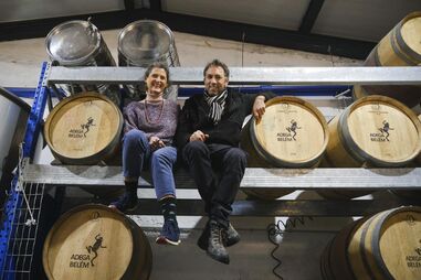 Adega urbana: Produzir vinho no meio do betão