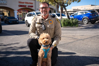 Um final feliz! Cão abandonado no aeroporto de Las Vegas encontra uma nova família