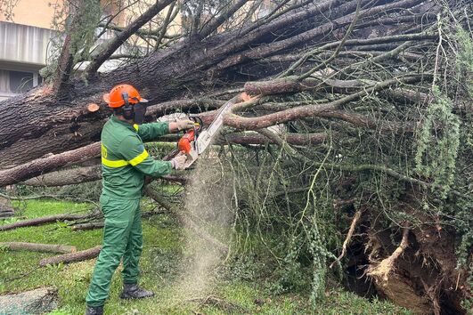 Paraquedistas de Tomar empenhados