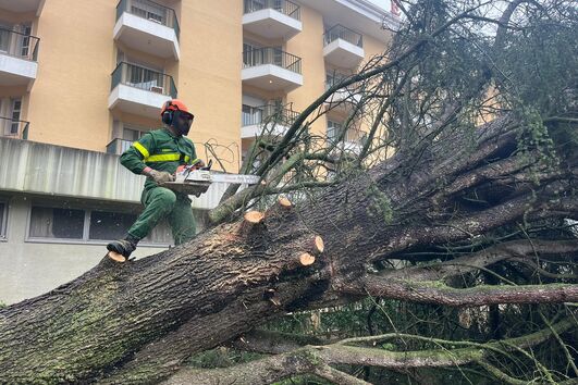 Tempestade Kristin provoca 723 ocorrências em Tomar e meses de trabalho pela frente