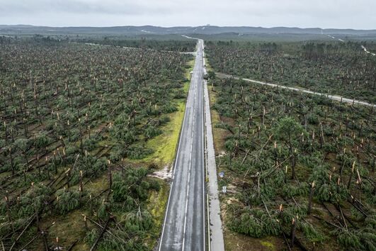 Disponibilizado apoio gratuito na avaliação de danos em municipios afetados pelo mau tempo