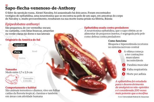 Navalny morreu envenenado