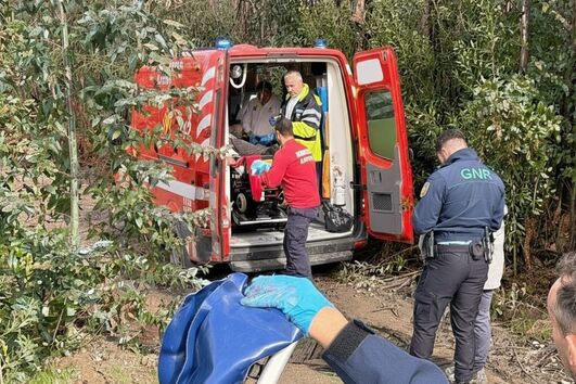 Homem ferido em acidente com motosserra em Albergaria-a-Velha