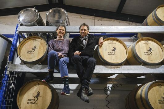 Adega urbana: Produzir vinho no meio do betão