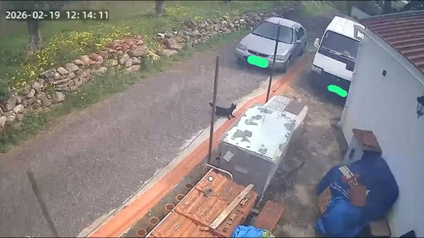 Imagens de videovigilância captam momento em que dois sismos foram sentidos em Alenquer 