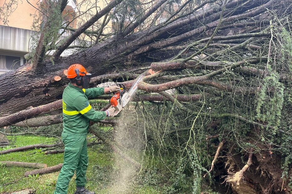 Paraquedistas de Tomar empenhados