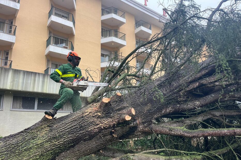Paraquedistas de Tomar empenhados