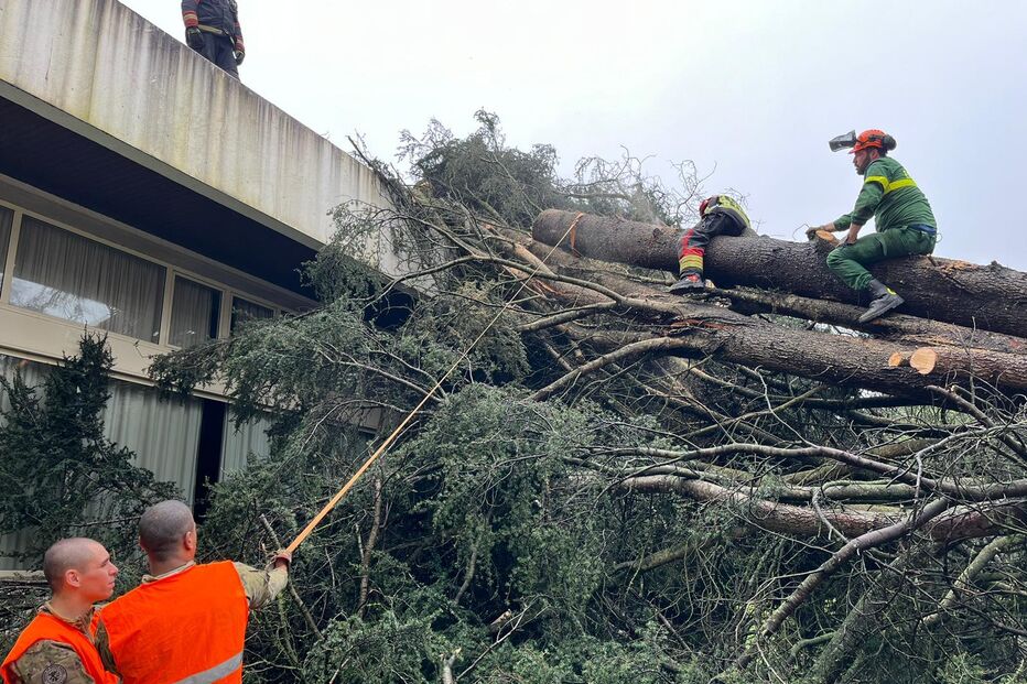 Paraquedistas de Tomar empenhados