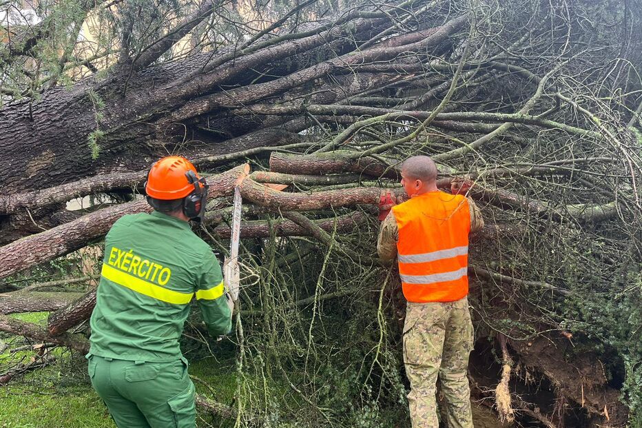 Paraquedistas de Tomar empenhados