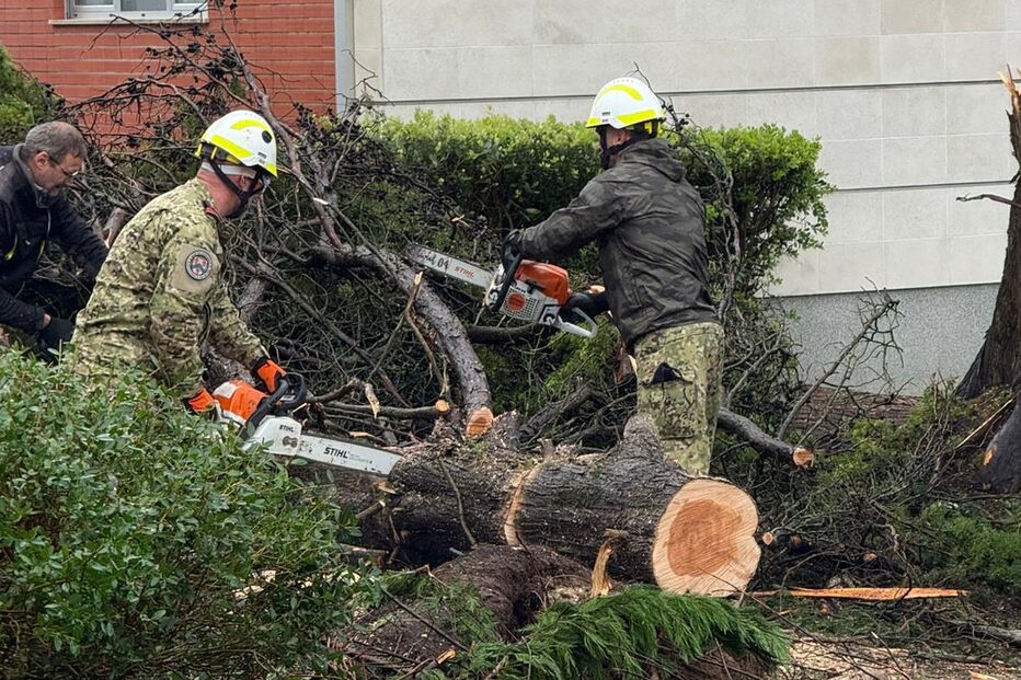 Militares apoiam população após tempestade com limpeza e remoção de árvores