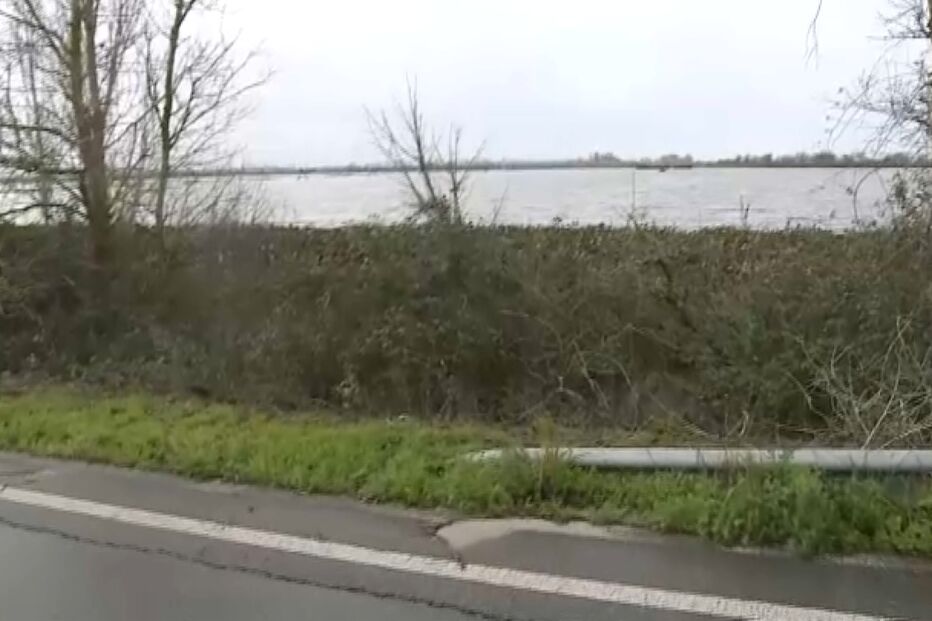 Terrenos agrícolas completamente alagados na Azambuja devido a chuva forte  