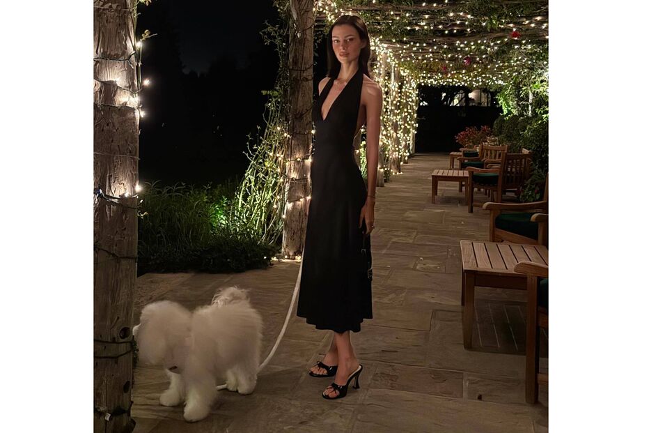 Mulher com vestido preto e cão branco sob estrutura iluminada