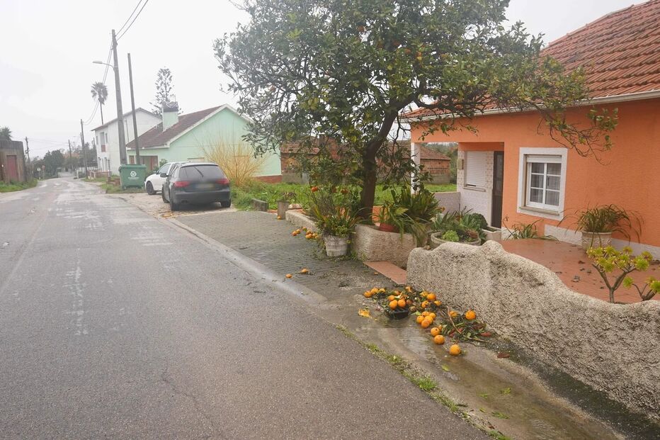 BBombeira estava prestes a entrar no carro quando foi atropelada