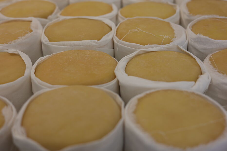 Seia promove queijo de ovelha na Feira Serra da Estrela, evento crucial para economia local