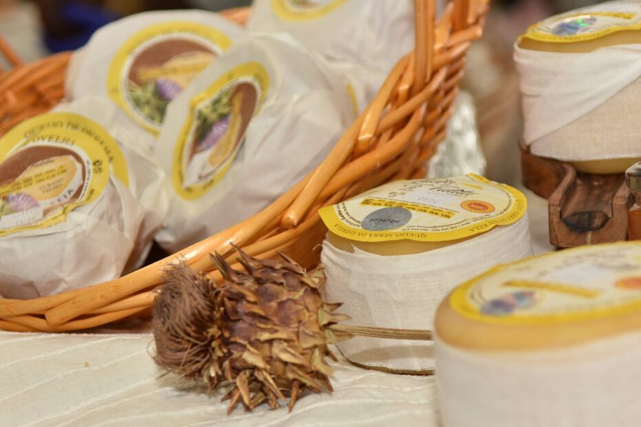 Seia destaca-se como maior produtor de Queijo Serra da Estrela