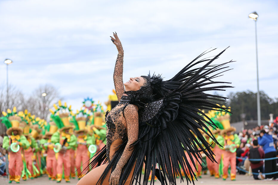 Foliões celebram o Carnaval de Estarreja com cor e música