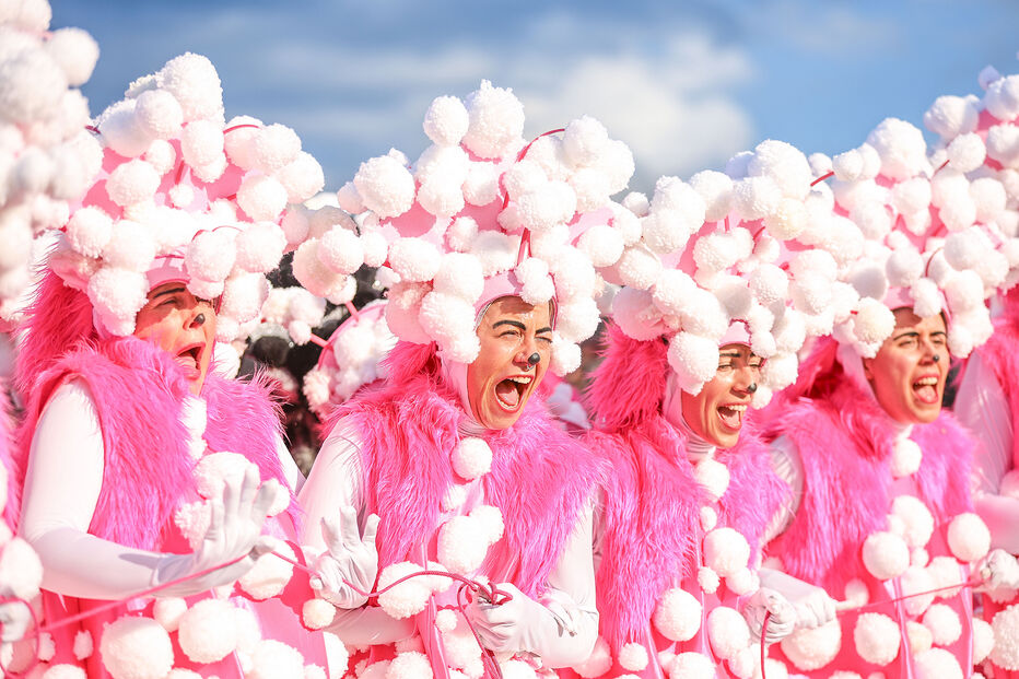 Foliões celebram o Carnaval de Estarreja com cor e música