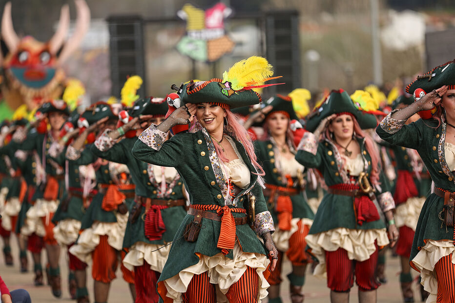 Foliões celebram no Carnaval de Estarreja, Aveiro, com trajes e desfiles