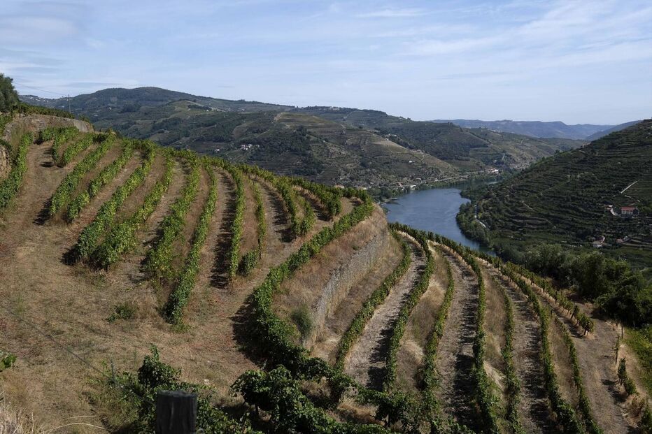 Douro