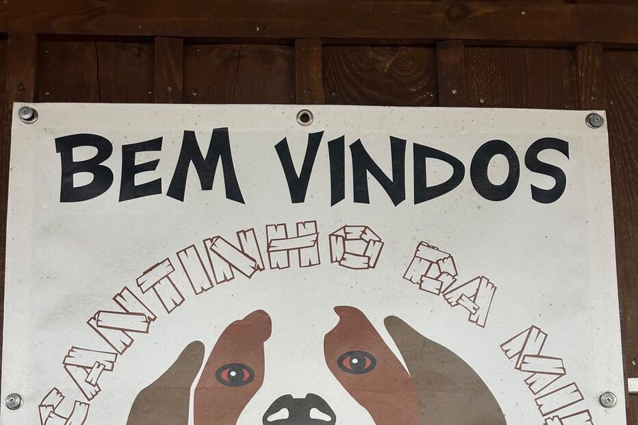 Abrigo que acolhe 800 animais destruído pelo mau tempo em Setúbal